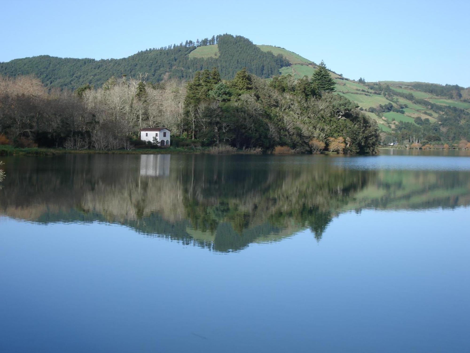 The Cedar Tree Studio Sete Cidades Eksteriør billede
